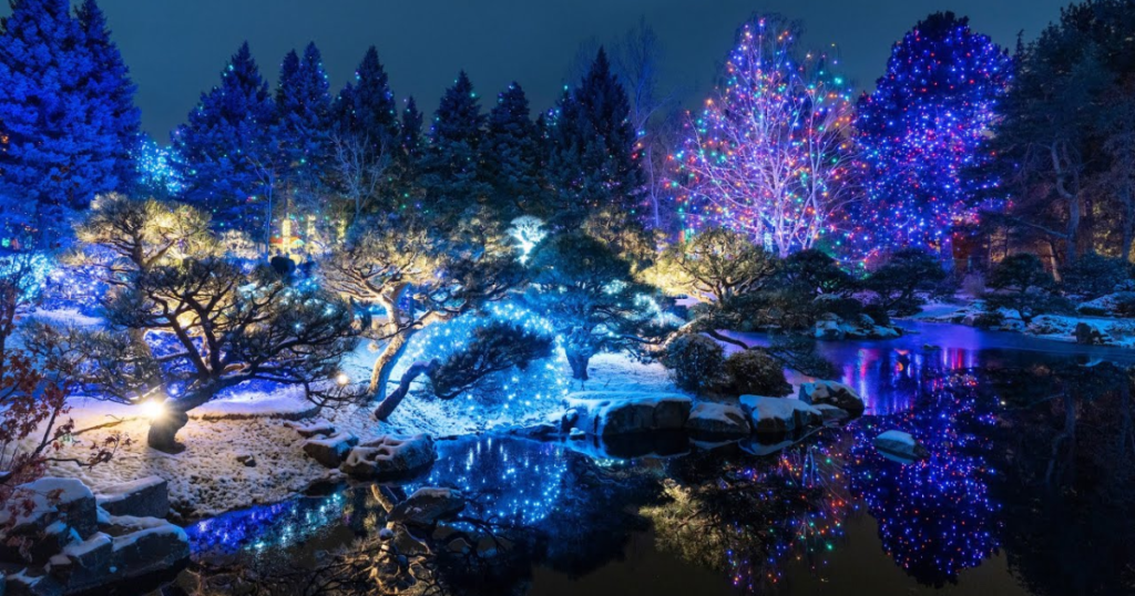 3- Denver Botanic Gardens Blossoms of Light