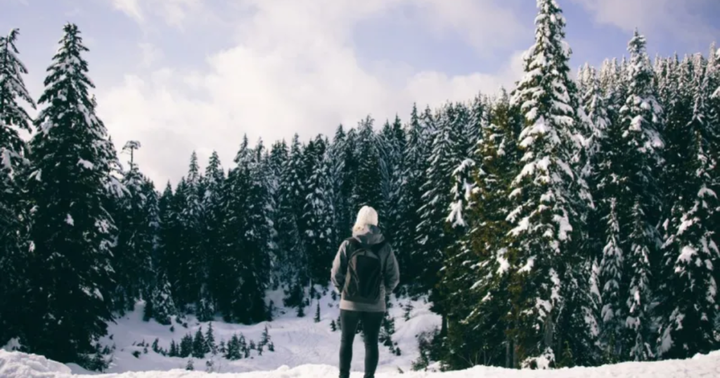 Go on a Scenic Winter Hike