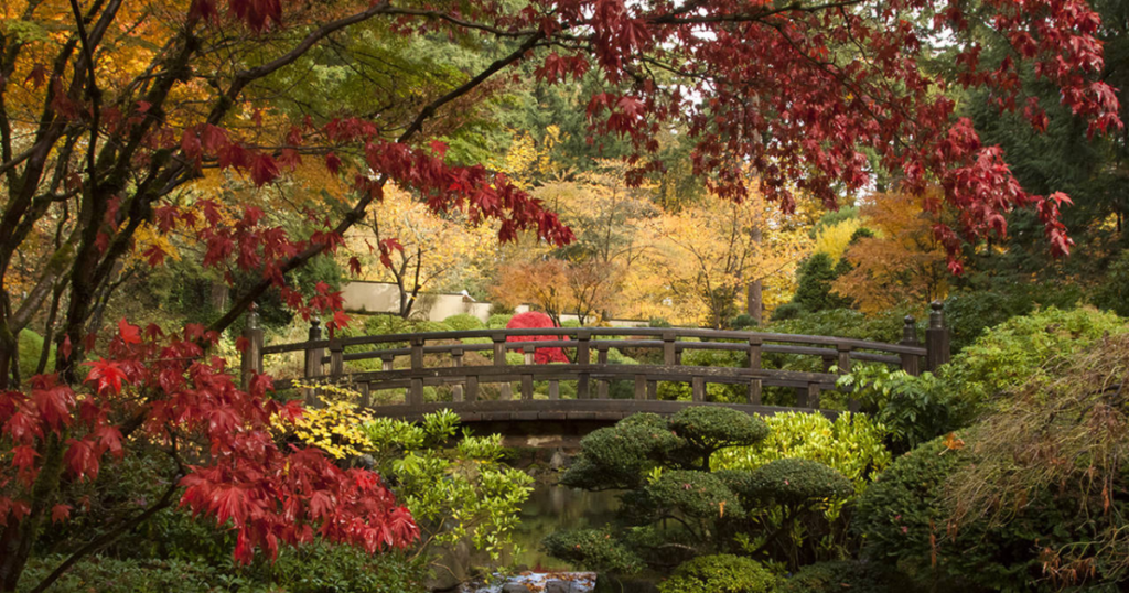 Portland Japanese Garden in Denver for young adult