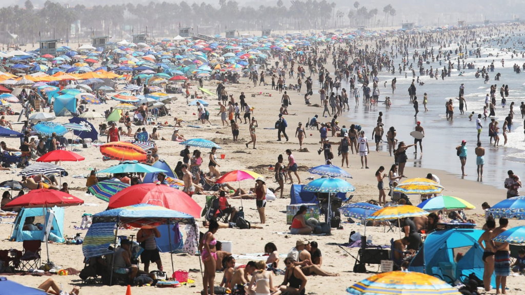 Spend a day at the beach In Los Angeles